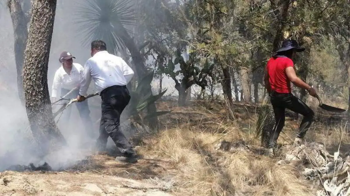 Calor Tequexquital